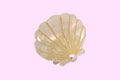 JOSSLYN by wall to wall - Seashell Hair Claw Clip