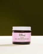 Full Spectrum CBD Salve by Pure + Planted CBD