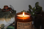 Mahogany Teakwood Soy Candle by Oddly Brewed