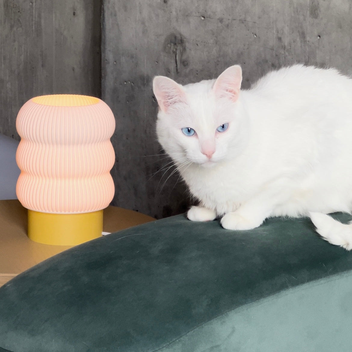 Lola Table Lamp by nella home